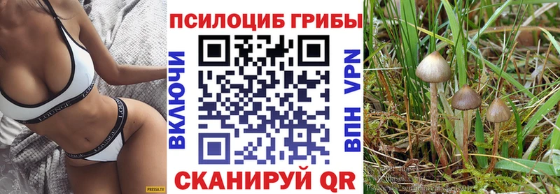 как найти наркотики  Тверь  blacksprut маркетплейс  Псилоцибиновые грибы мицелий 