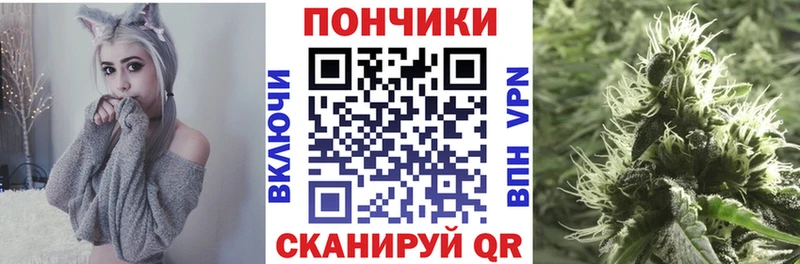 где купить   Тверь  OMG сайт  Канабис планчик 